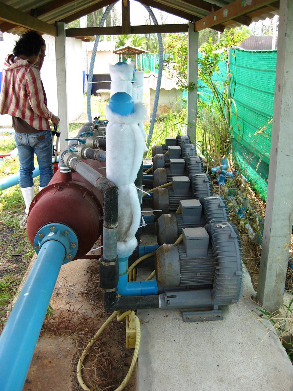 Site Survey 2